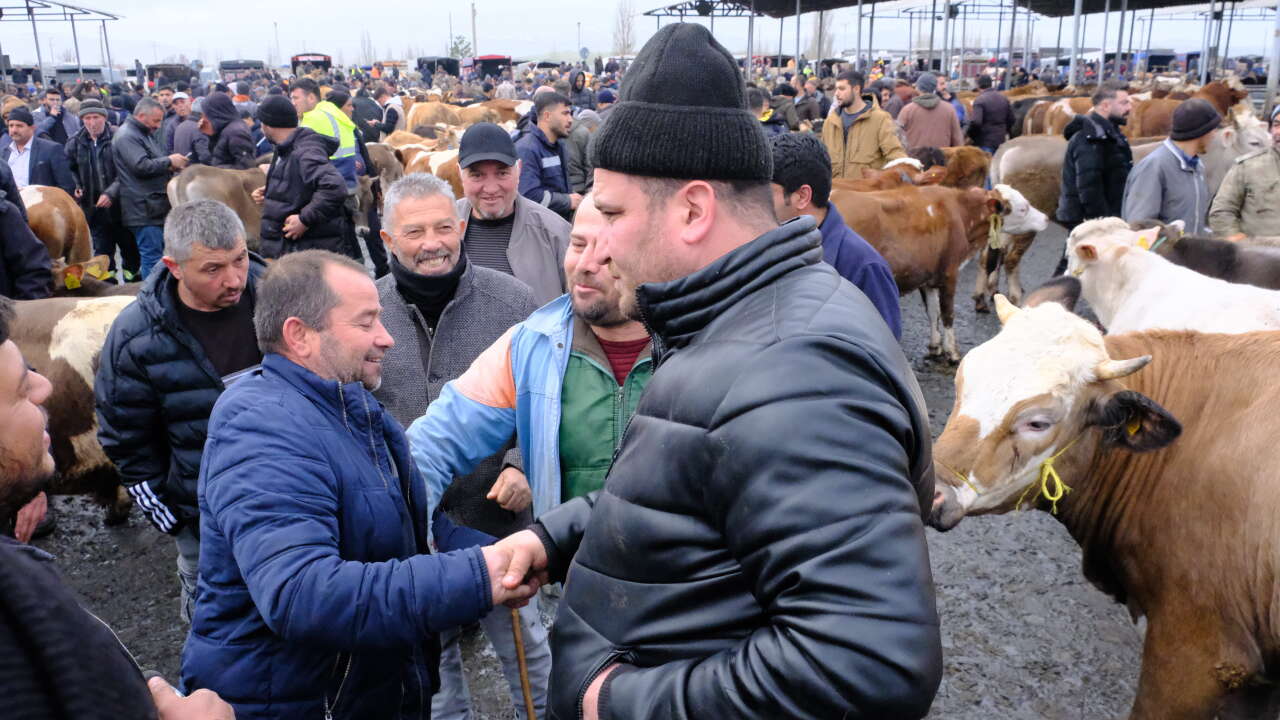 Türkiye’nin en büyük hayvan pazarında kurbanlık hareketliliği başladı 1